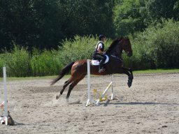 DSC_9326_web